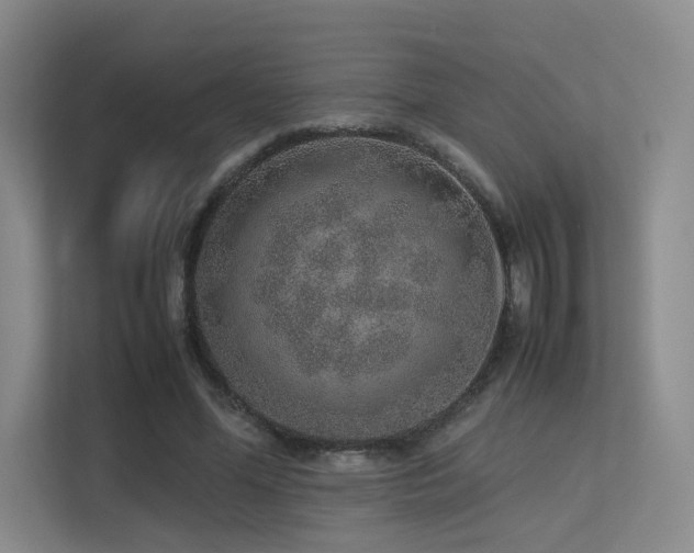 X0000113240588200909101410