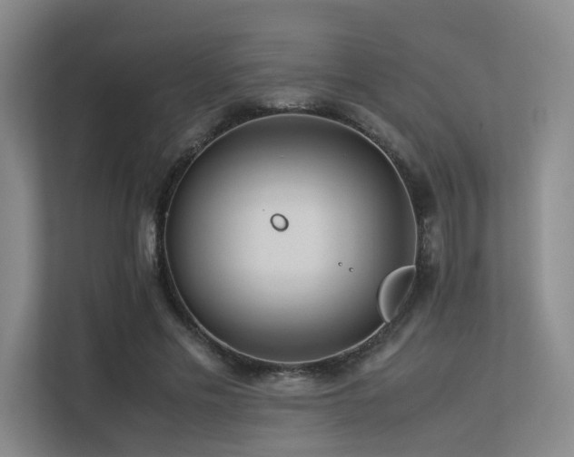 X0000113240589200909101410