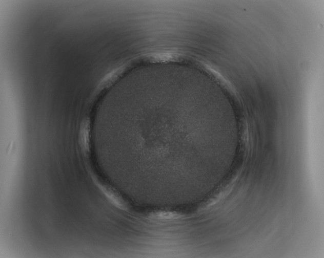 X0000113240590200909101410