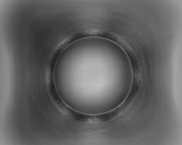 X0000113240591200909101410