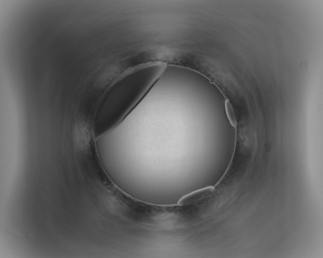 X0000113240593200909101410