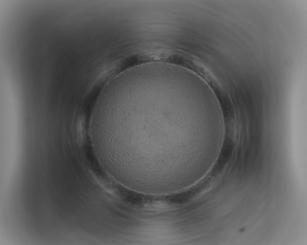 X0000113240594200909101410