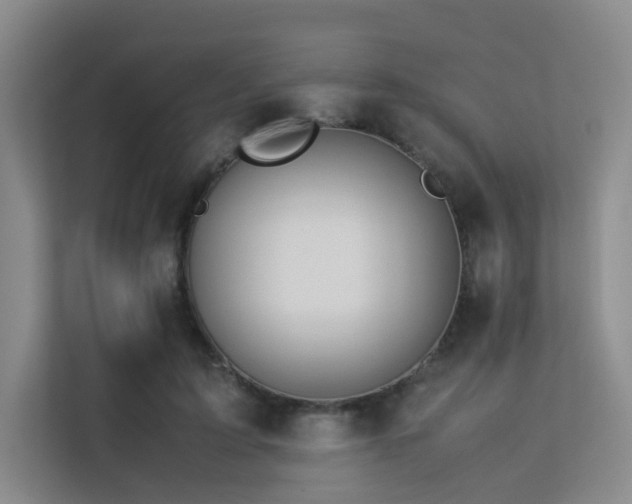 X0000113240595200909101410