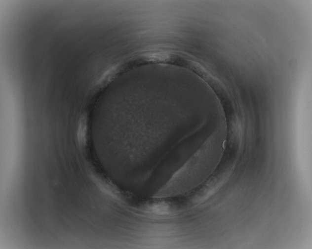 X0000113240600200909101410