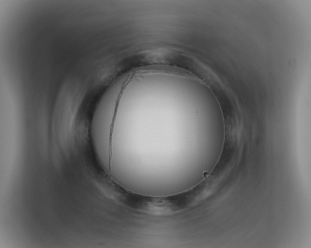 X0000113240603200909101410