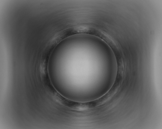 X0000113240604200909101410