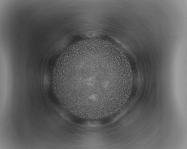 X0000113240606200909101410