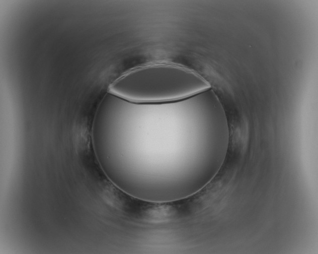 X0000113240609200909101410