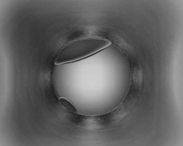 X0000113240611200909101410