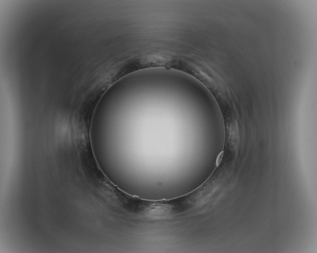 X0000113240617200909101409