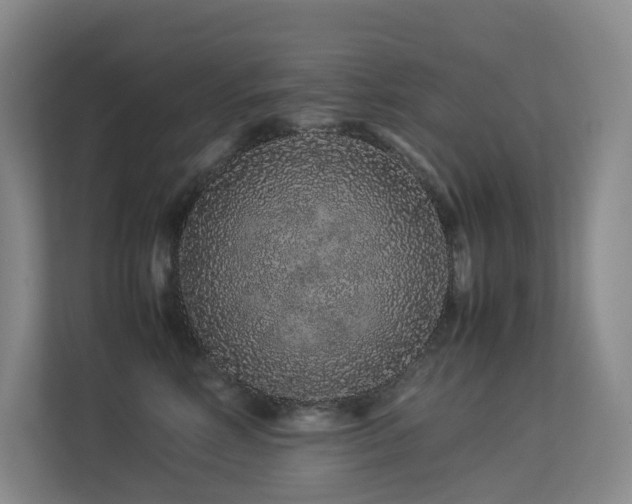 X0000113240618200909101409