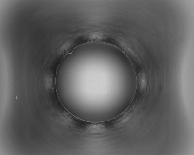 X0000113240619200909101409