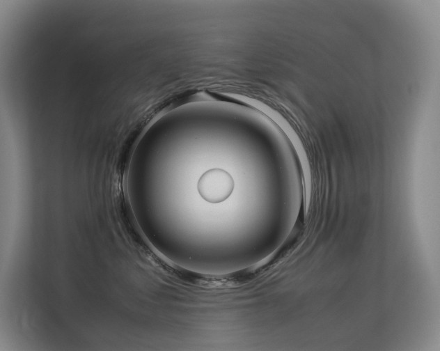 X0000113240621200909101409