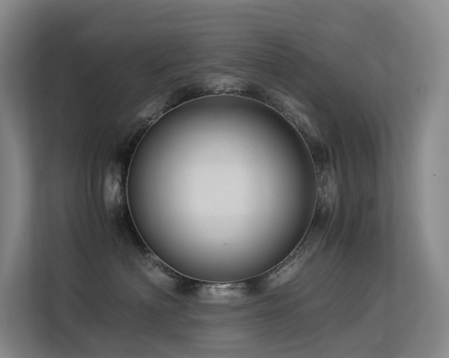 X0000113240622200909101409