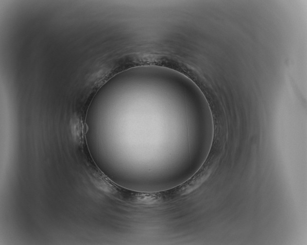 X0000113240624200909101409