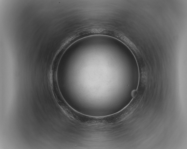 X0000113240626200909101409