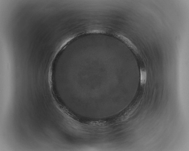 X0000113240627200909101409