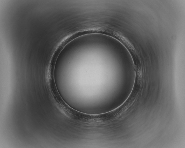 X0000113240628200909101409