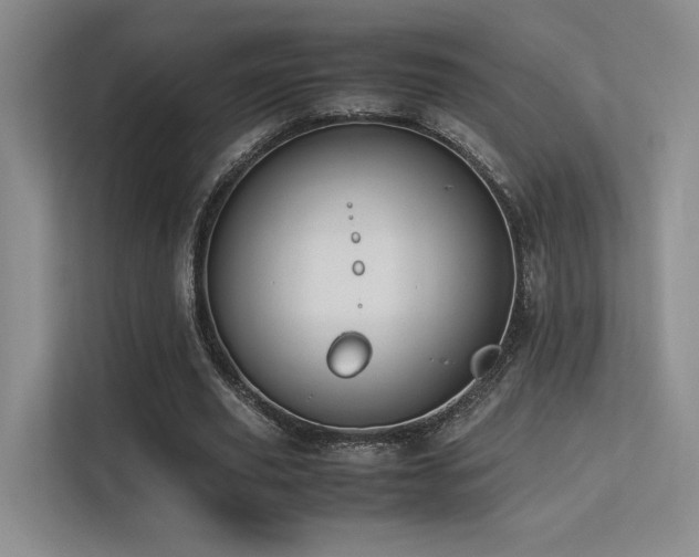 X0000113240629200909101409