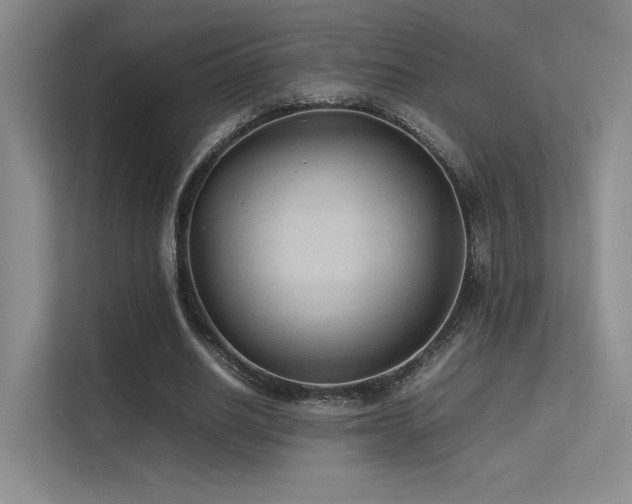 X0000113240630200909101409