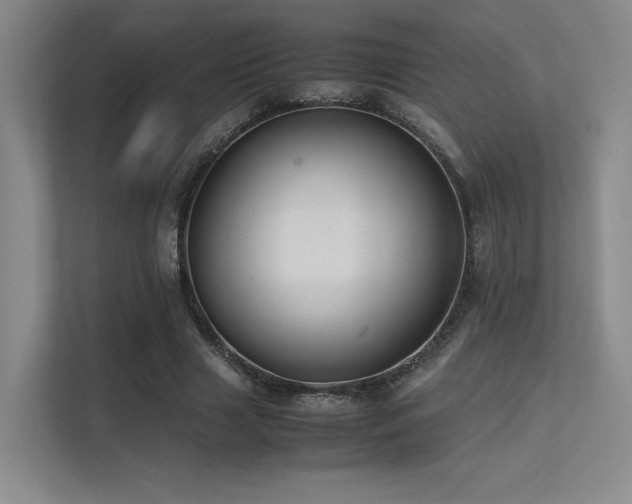 X0000113240633200909101409