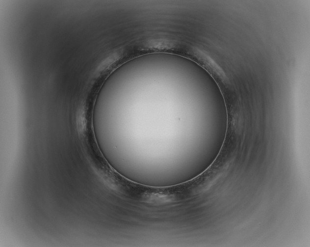 X0000113240635200909101409