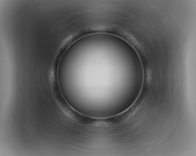 X0000113240636200909101409