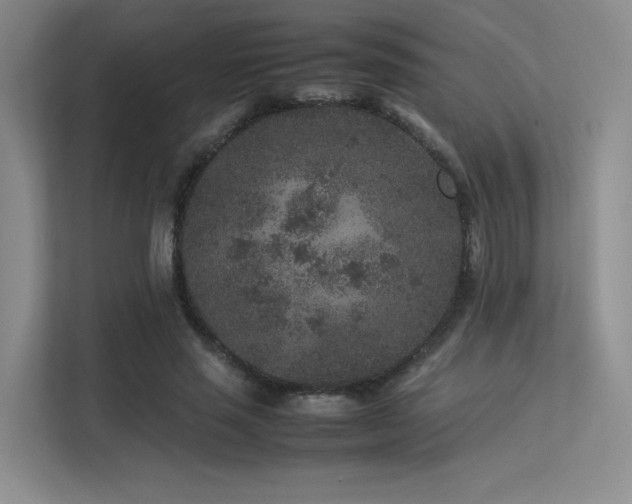 X0000113240637200909101409