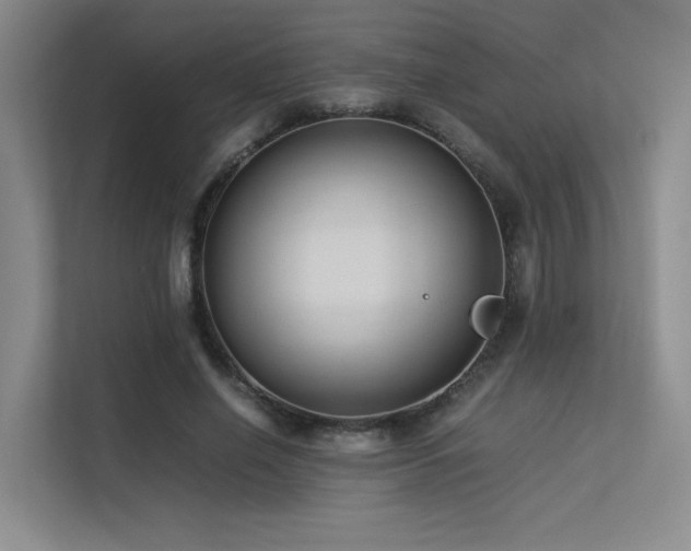 X0000113240638200909101409