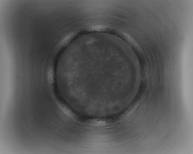 X0000113240640200909101409