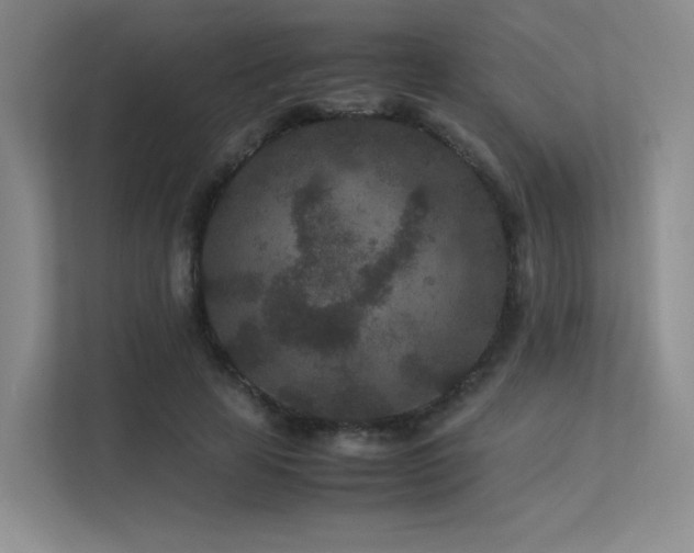 X0000113240641200909101409