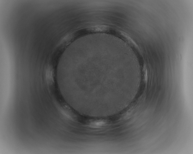 X0000113240643200909101409