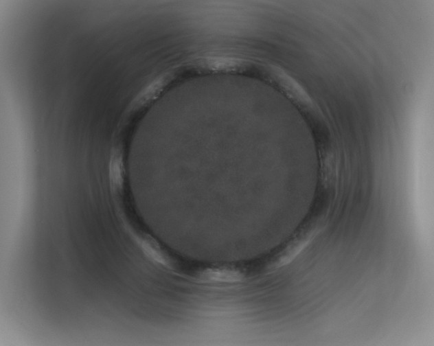 X0000113240644200909101409