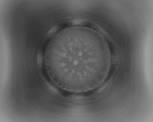 X0000113240648200909101409