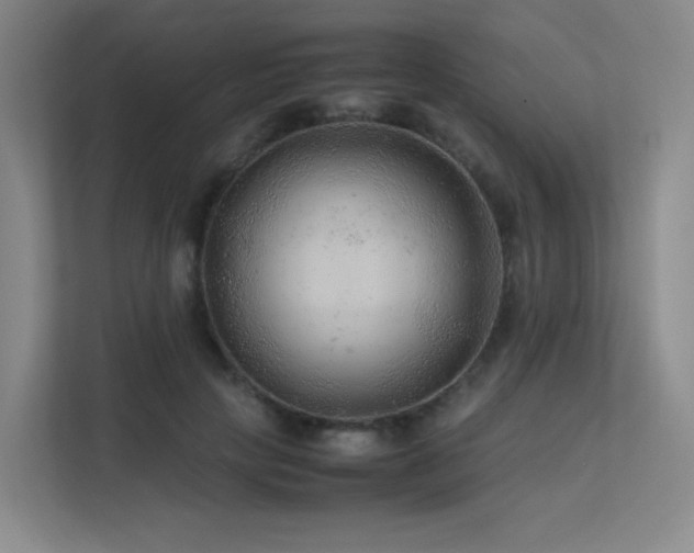 X0000113240649200909101409