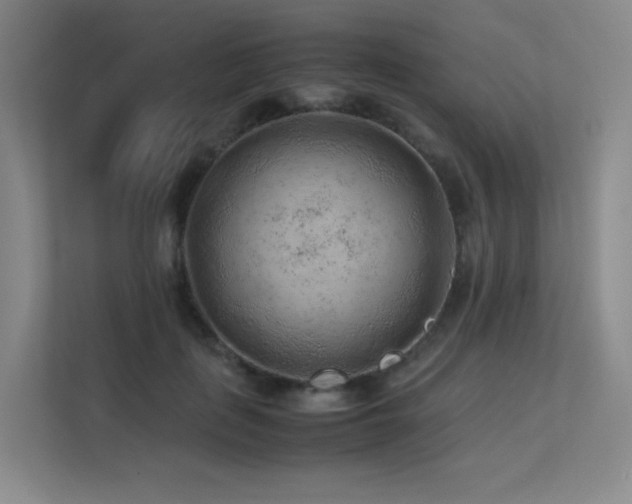 X0000113240651200909101409