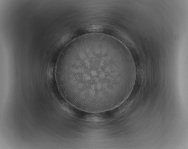 X0000113240652200909101409