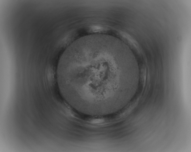 X0000113240653200909101409