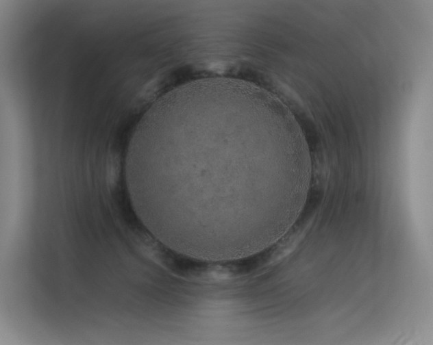 X0000113240656200909101409