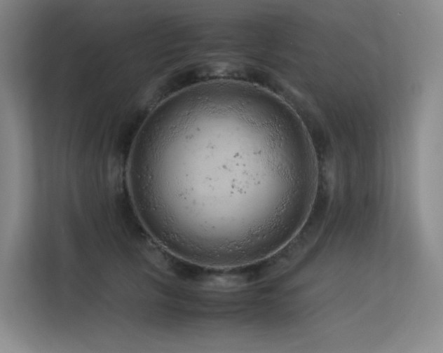 X0000113240657200909101409