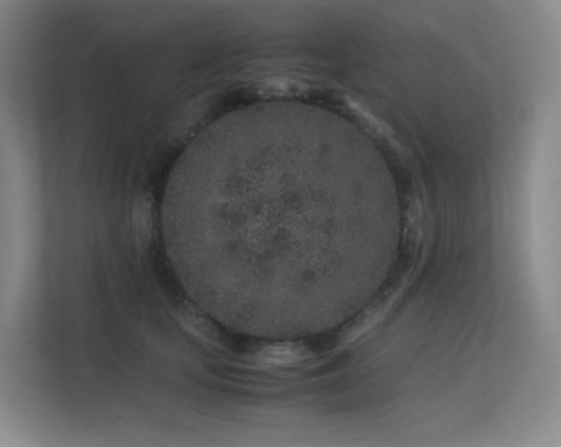 X0000113240659200909101409