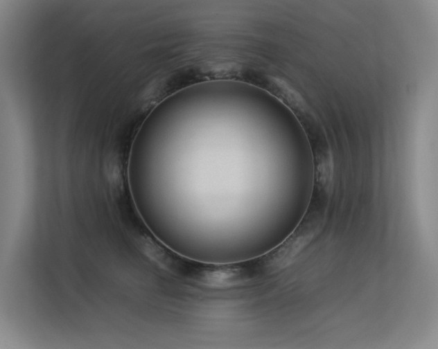 X0000113240662200909101409