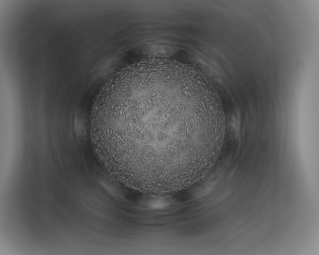 X0000113240663200909101409