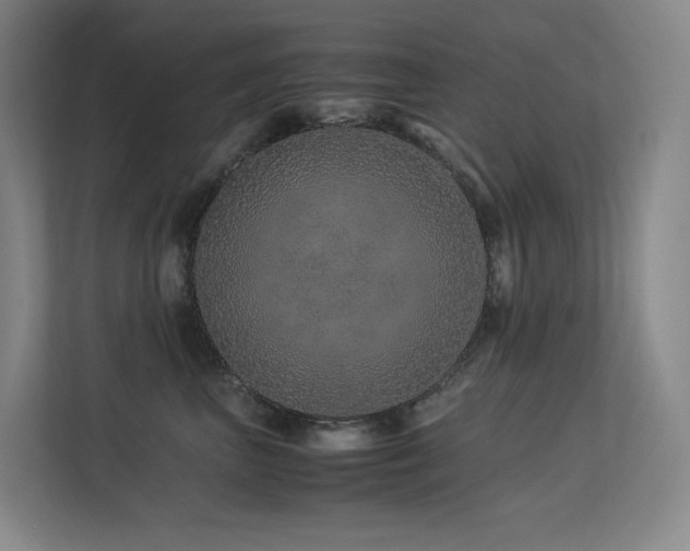 X0000113240667200909101409