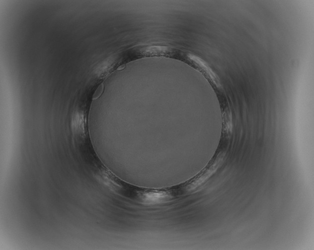 X0000113240669200909101409