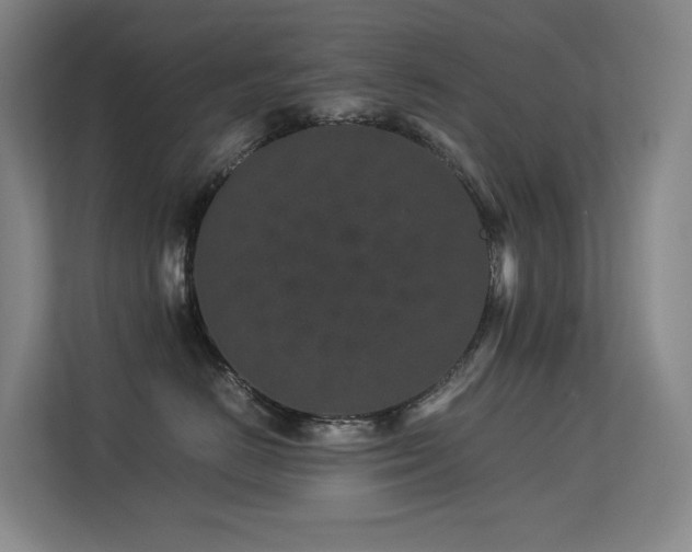 X0000113240670200909101409