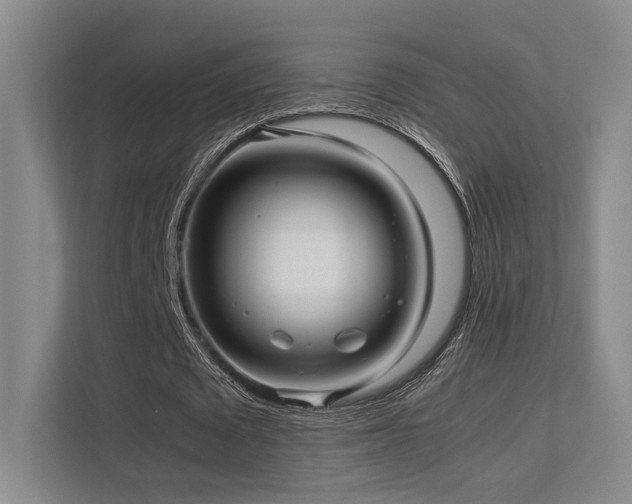 X0000113240673200909101409