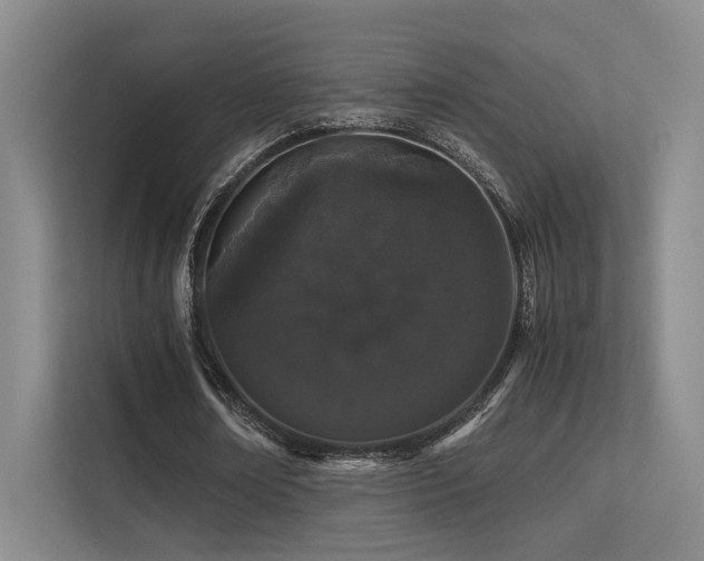 X0000113240674200909101409