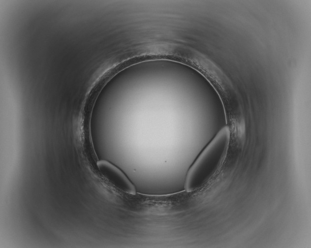 X0000113240676200909101409