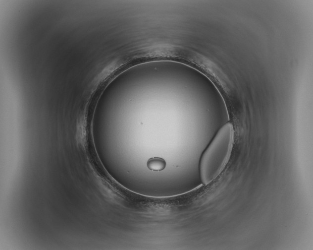 X0000113240677200909101409